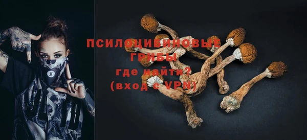 гашик Горняк