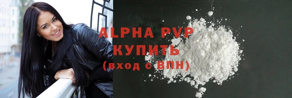 гашик Горняк