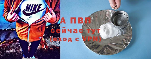 гашик Горняк